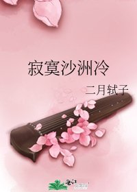 寂寞沙洲冷
