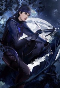 新神鵰完全版